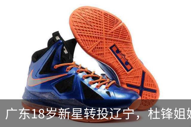 广东18岁新星转投辽宁，杜锋姐姐当选篮协副会长，2后卫试训新疆，广厦外援接受归化